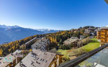 Wohnung 4.5 Zimmer - image - 5