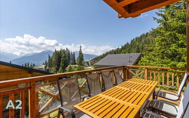 Chalet 6.5 pièces - image - 6