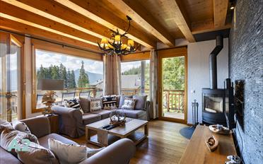 Chalet 6.5 pièces - image - 2