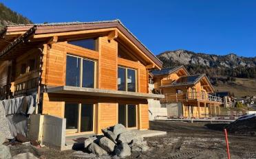 Chalet 6.5 pièces - image - 1