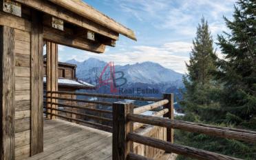 Chalet 10 pièces - image - 1