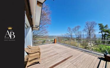 Villa - image - 4