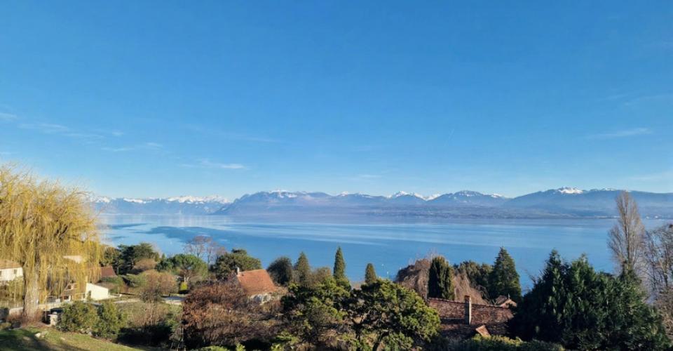 Buchillon