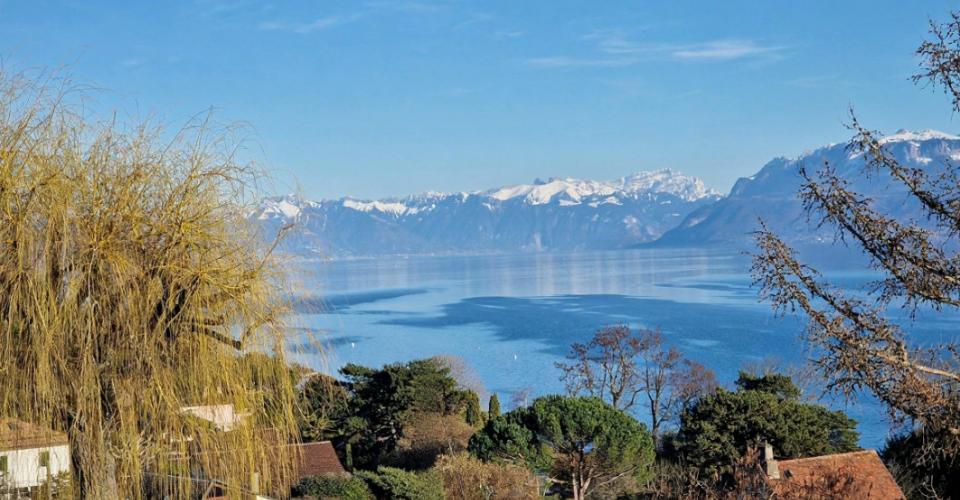 Buchillon