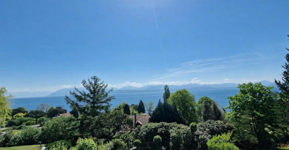 Buchillon