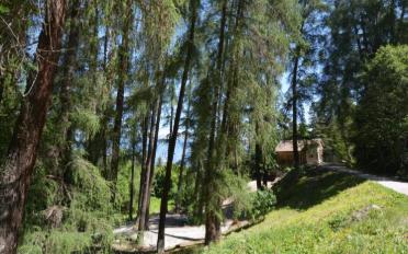 Immeuble mixte - image - 9