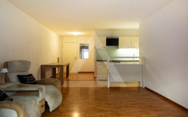 Terrassenwohnung 2.5 Zimmer - image - 4
