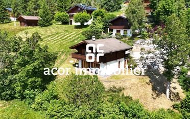 Chalet 3.5 Zimmer - image - 1