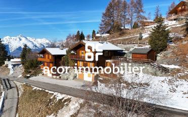 Chalet 4.5 Zimmer - image - 1