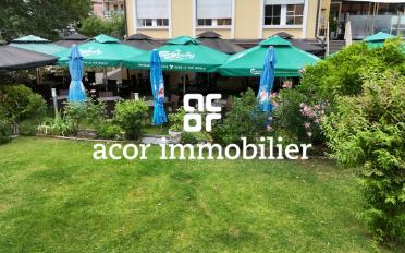 Restaurant - image - 7