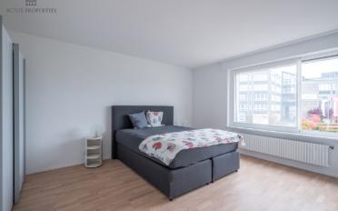 Wohnung 4.5 Zimmer - image - 6