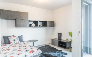 Wohnung ein Zimmer - image - 2