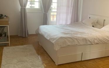 Wohnung 3.5 Zimmer - image - 4