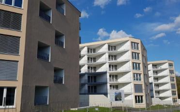 Apartment 2.5 rooms - image - 6