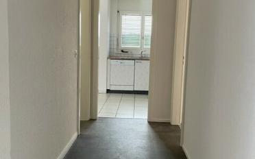 Wohnung 5.5 Zimmer - image - 5