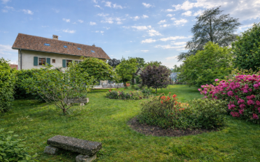 Einfamilienhaus - image - 4
