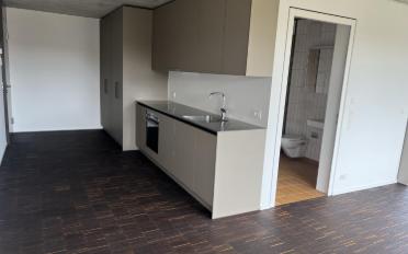 Apartment 2.5 rooms - image - 4