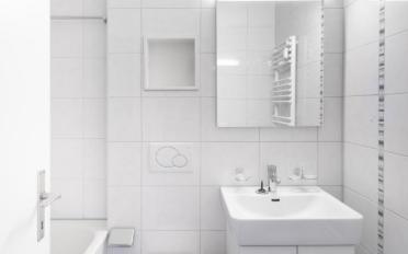 Apartment 2.5 rooms - image - 5