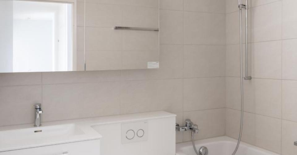 Aesch BL