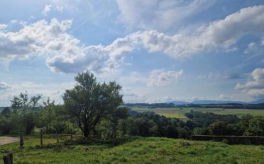 Appartement 3.5 pièces - image - 9