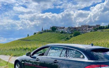 Einfamilienhaus 10.5 Zimmer - image - 3