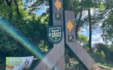 Einfamilienhaus 10.5 Zimmer - image - 6