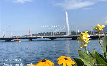 Single house 10 rooms - image - 1