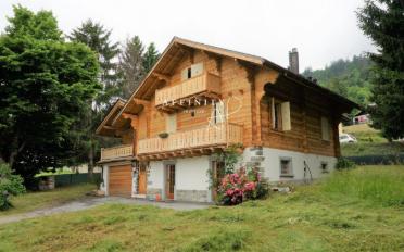 Chalet 7 pièces - image - 2