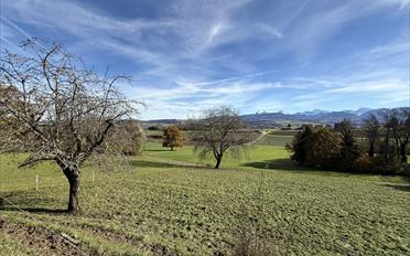 Immeuble résidentiel - image - 5