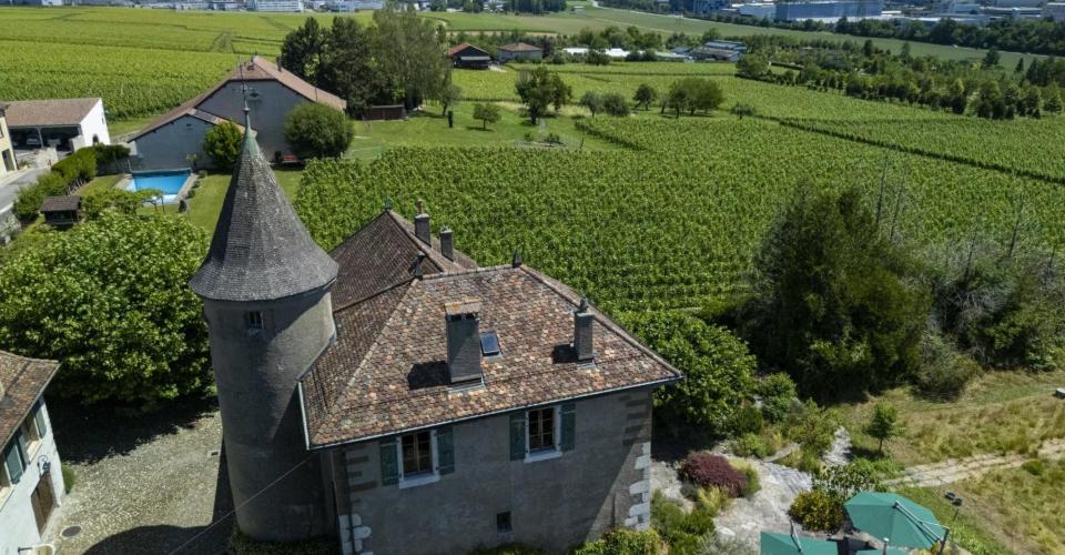 Satigny