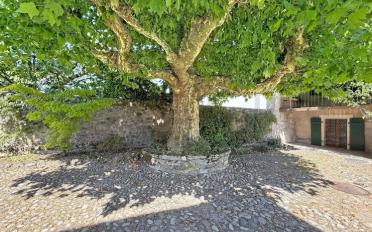 Einfamilienhaus 18 Zimmer - image - 9