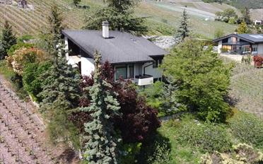 Villa 5.5 pièces - image - 1