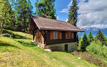 Chalet 3.5 rooms - image - 20