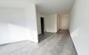 Wohnung 1.5 Zimmer - image - 6