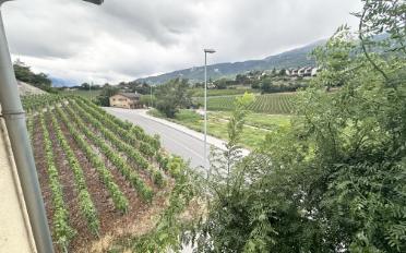 Wohnung 4.5 Zimmer - image - 13