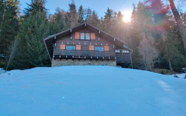 Chalet 3.5 Zimmer - image - 1
