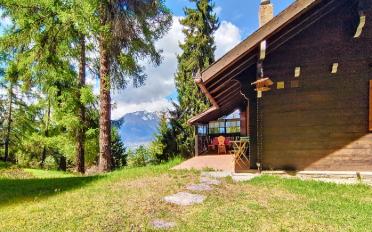 Chalet 3.5 Zimmer - image - 10