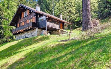 Chalet 3.5 Zimmer - image - 11