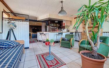 Wohnung 2.5 Zimmer - image - 1