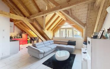 Immeuble résidentiel 10.5 pièces - image - 5