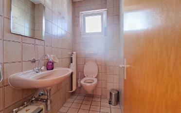 Office 6.5 rooms - image - 13