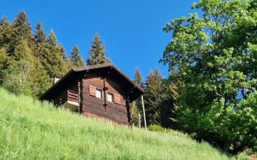 Chalet 3.5 Zimmer - image - 14