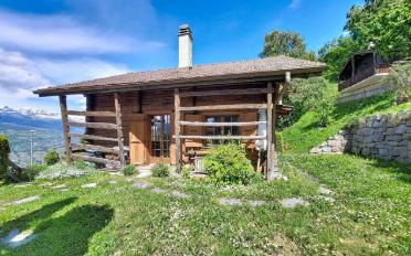 Chalet 3.5 rooms - image - 19