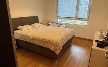 Wohnung 3.5 Zimmer - image - 3