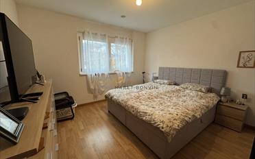 Wohnung 2.5 Zimmer - image - 2
