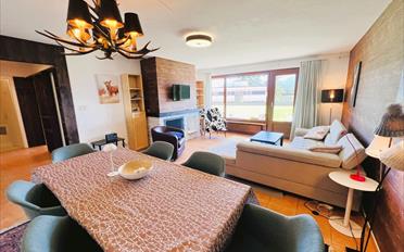 Terrassenwohnung 2.5 Zimmer - image - 1