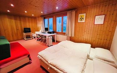 Chalet 11.5 rooms - image - 10