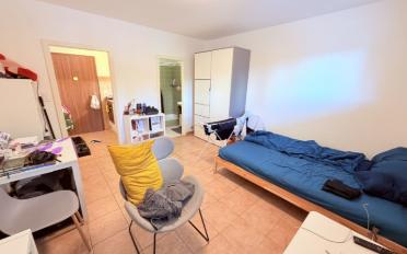 Studio 1.5 Zimmer - image - 6