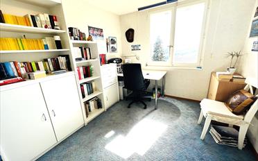 Einfamilienhaus 13.5 Zimmer - image - 4