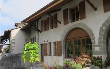 Maison contiguë - image - 1